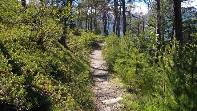 Panacelle en VTT - Guillestre / Risoul