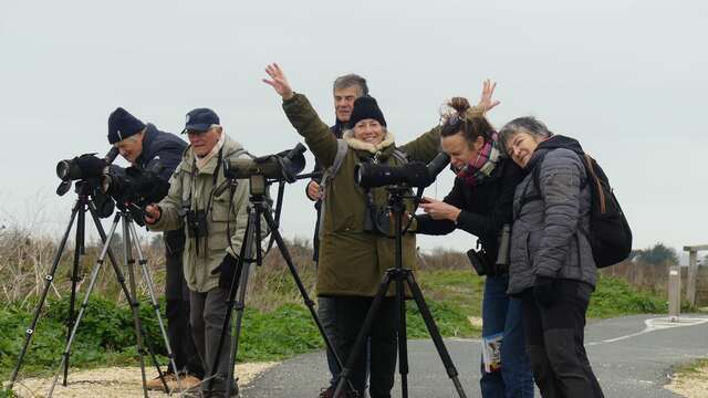 Become an LPO (League for the Protection of Birds) volunteer on the Island of Ré