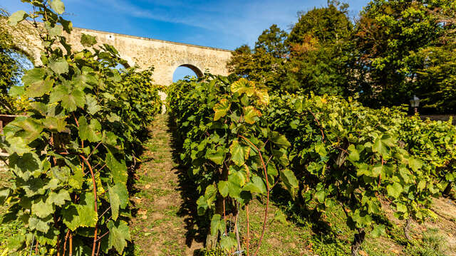 Les Coteaux de Louveciennes