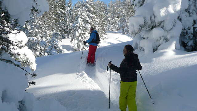 Noche nómada en una cabaña pastoral