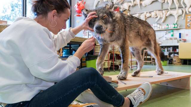 Les Rencards du Château :  Plus vrais que nature