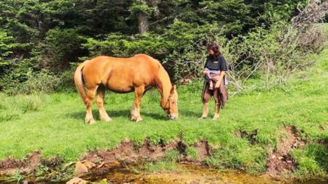 2-Day Horseback Riding Trip with Madres Ranch