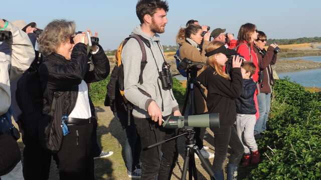 Musée de la Maison du Fier : exposition sur la biodiversité de l'Ile de Ré