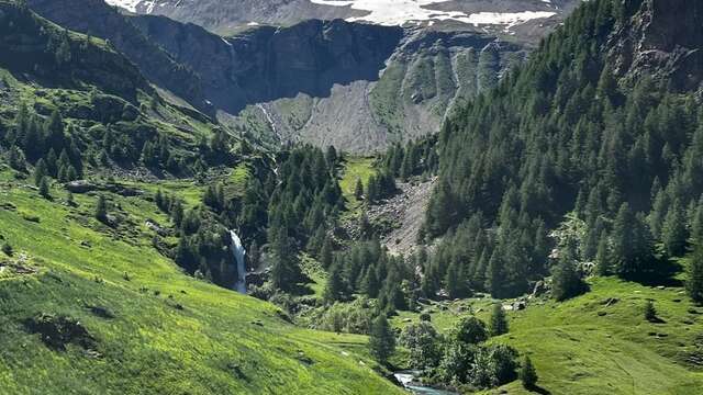 Festival de l'Alpage : Randonnée en alpage à Prapic