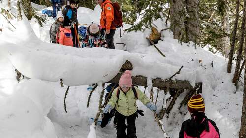 Sortie raquettes famille : petits Lapons
