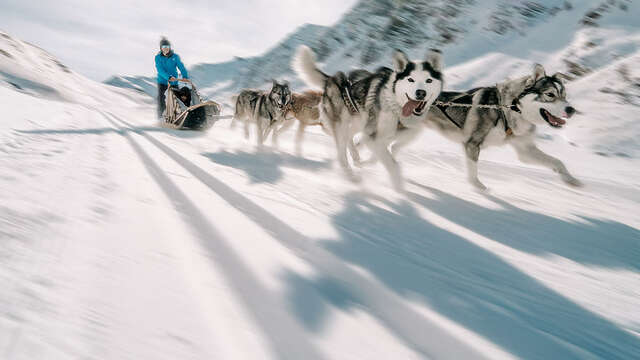 Conduite de traîneaux à chiens avec John