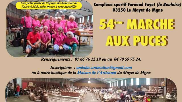 54ème Marché aux puces