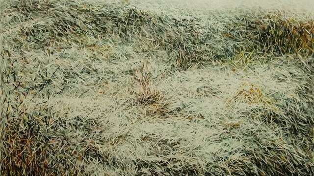 Exposition de peinture Feng Ge