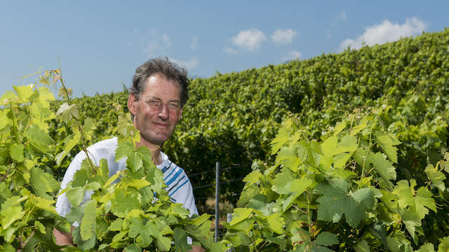 Apéro'vignes aux Fruits de la Treille