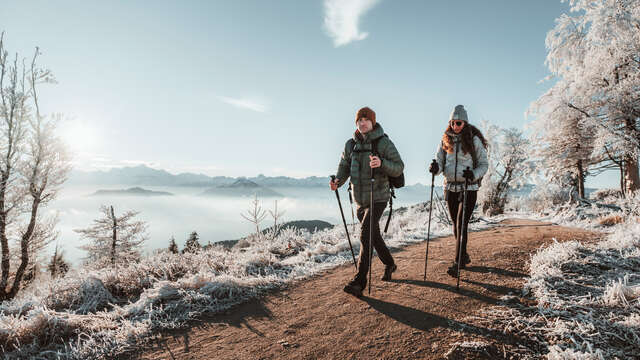 Boucle pédestre - La crête des Voirons