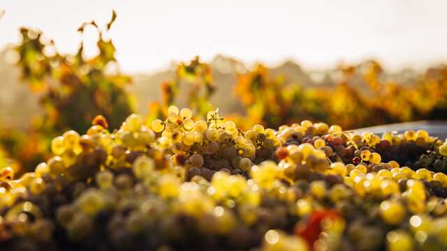 Domaine Labastidum