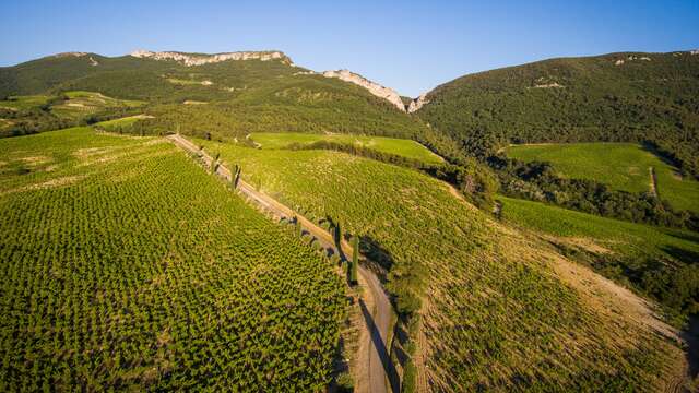 Rando-Trail des Dentelles