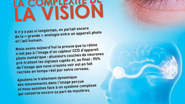 Conférence "La complexité de la vision"