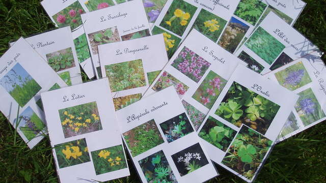 Entre prairies et forêts, histoire de biodiversité