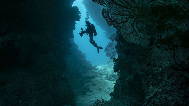 Diving training - Abyss Plongée