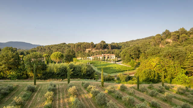 Moulin à Huile & Domaine Bastide du Laval