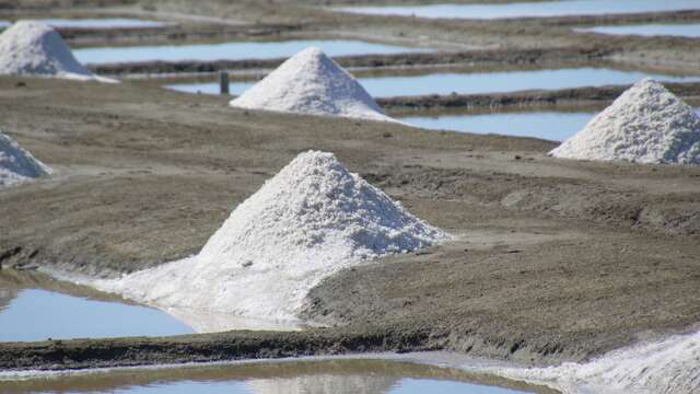 Visites guidées sportives à vélo des villages de l'île de Ré par J&M EVASION