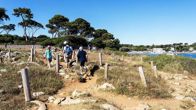 Sorties naturalistes et géologiques