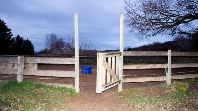 Claire Dantzer  –  Le cheval de paille