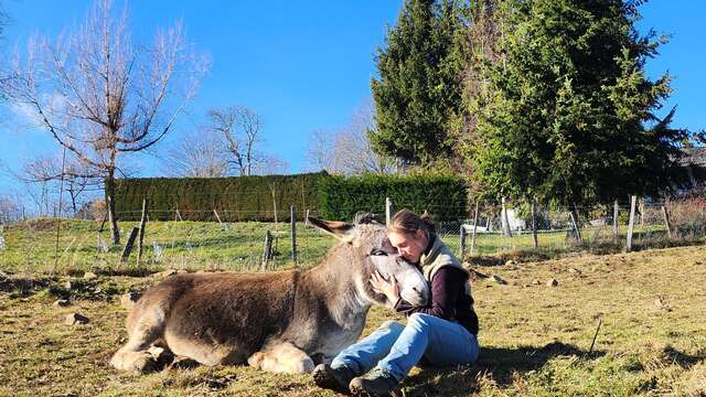 Immersion in a herd of donkeys: summer escapes