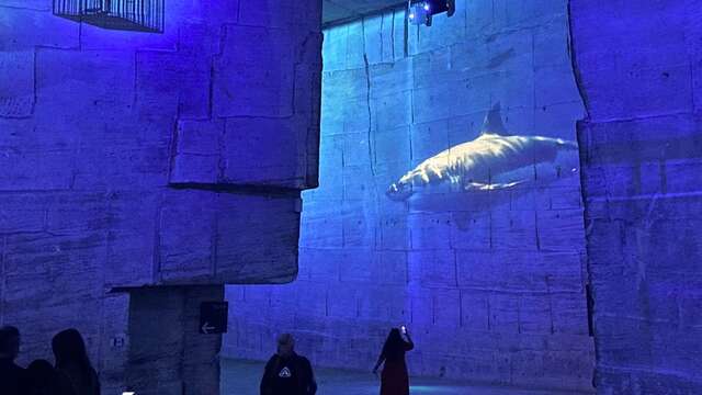 Carrières-des-Lumières: Ocean – an immersion in the underwater world