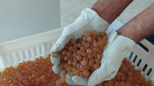 Confiserie et miellerie des 3 ours