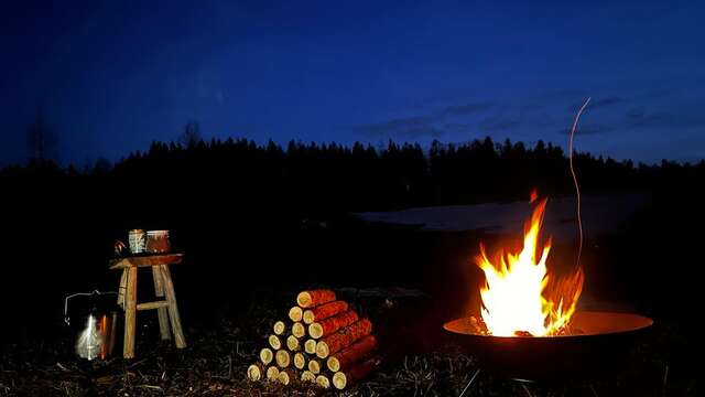 Cani-trappeurs - Travel Dog