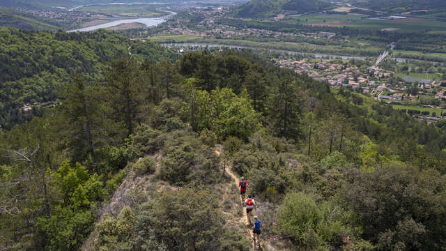 Trail n°3 - Le Grand Ruth
