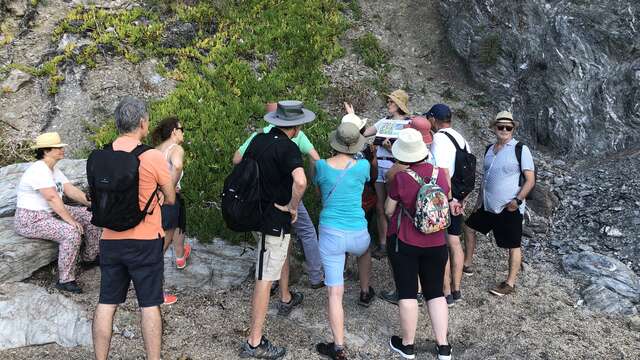 Balade et atelier peinture au Pradet - Faune et flore d'ici... et d'ailleurs