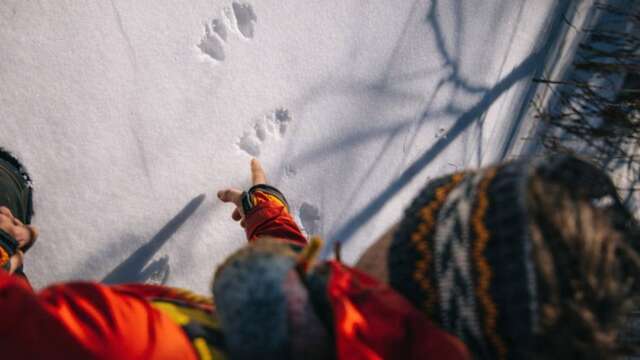 Randonnée découverte traces et indices des animaux