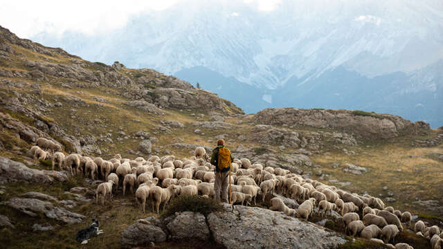Zen Agritude : conférence sur les interactions en milieux montagnards
