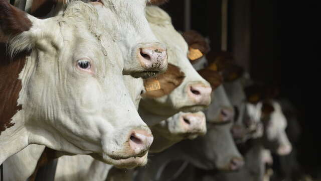 Ferme des 4 Vents