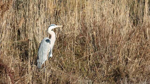 Exposition "Découverte du Marais de Beauchamp et du Marais du Cassaïre"