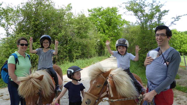 Balades en main à poney