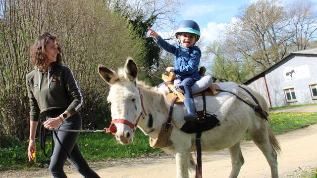 Balade à dos d'âne - La Ferme de la Marinette
