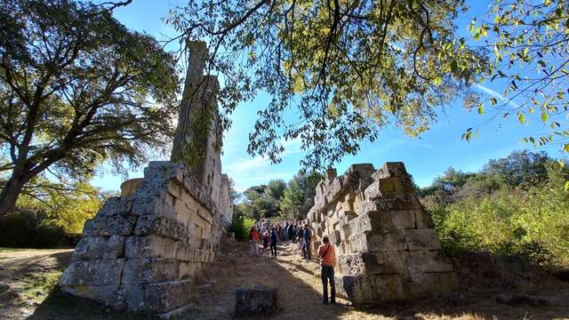 Temple Romain de Vernègues