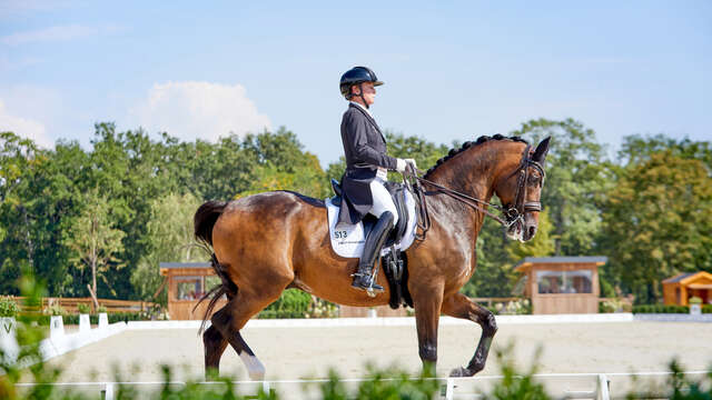 FEI dressage european championship