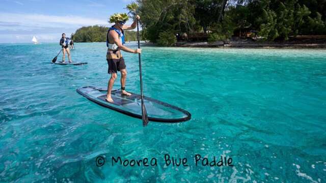 Moorea Blue Paddle & Kayak Transparents