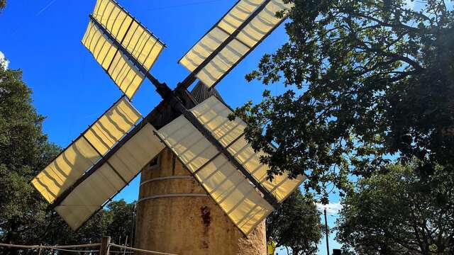 Visite du moulin de Paillas pendant les vacances d'hiver