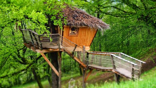 Les cabanes de Carpat