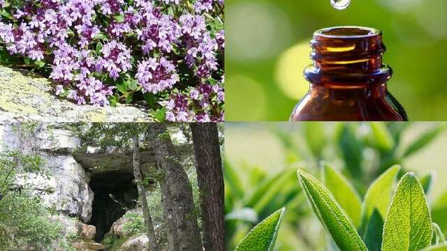 Distillerie du Bois de Païolive "Flor'Ardèche"