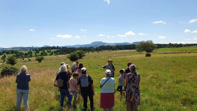 Balade contée à la ferme - Les Échappées Estivales
