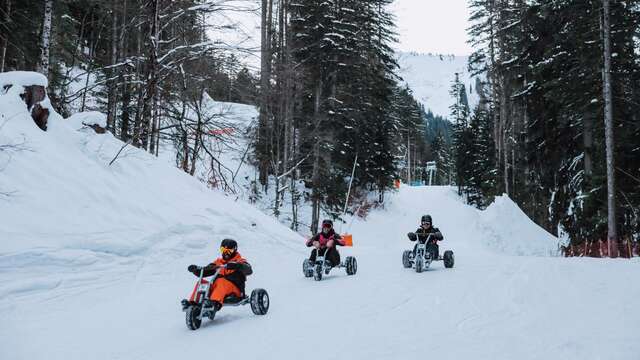 Mountain kart