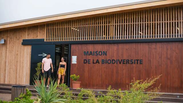 Balade sensible dans la mangrove