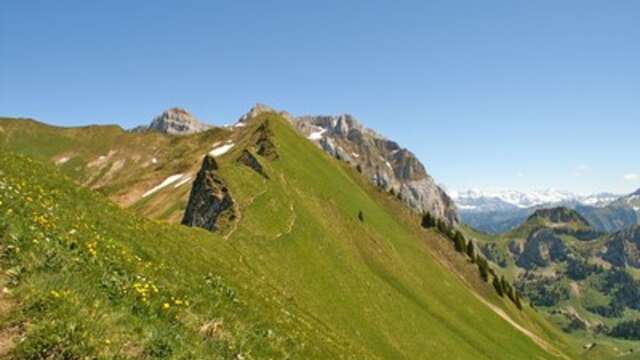 De Col de Pavis