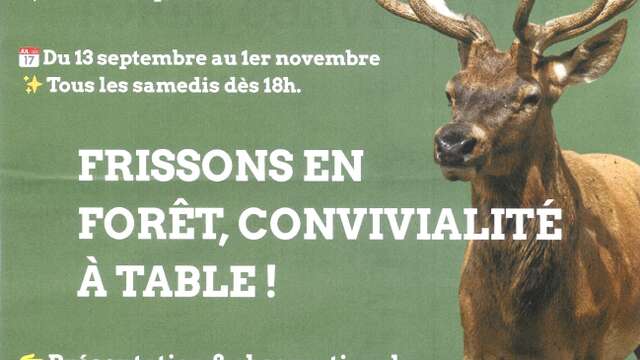 Soirée Brame du Cerf