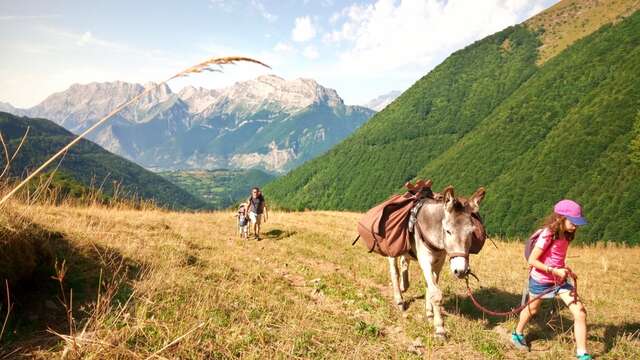 Bivouac avec les ânes en famille - Altimood