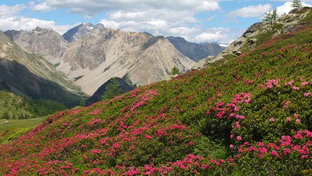 Au sens de nos pas - Clapiz Geneviève - Accompagnatrice en Montagne