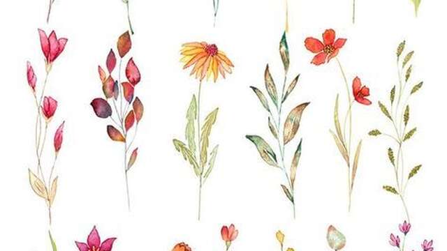 Visite guidée des jardins