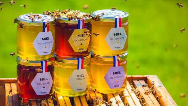 Initiation à la dégustation aux Abeilles de Méllonia